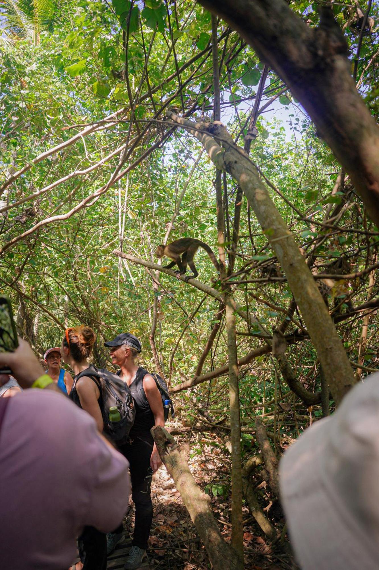 Ecohotel Yachay Tayrona Dentro Del Parque Tayrona El Zaino Exteriör bild