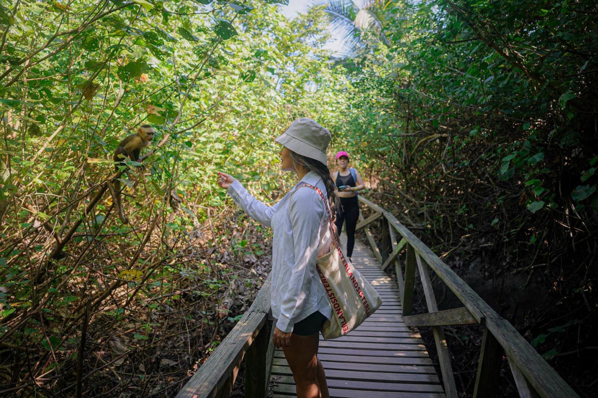 Ecohotel Yachay Tayrona Dentro Del Parque Tayrona El Zaino Exteriör bild