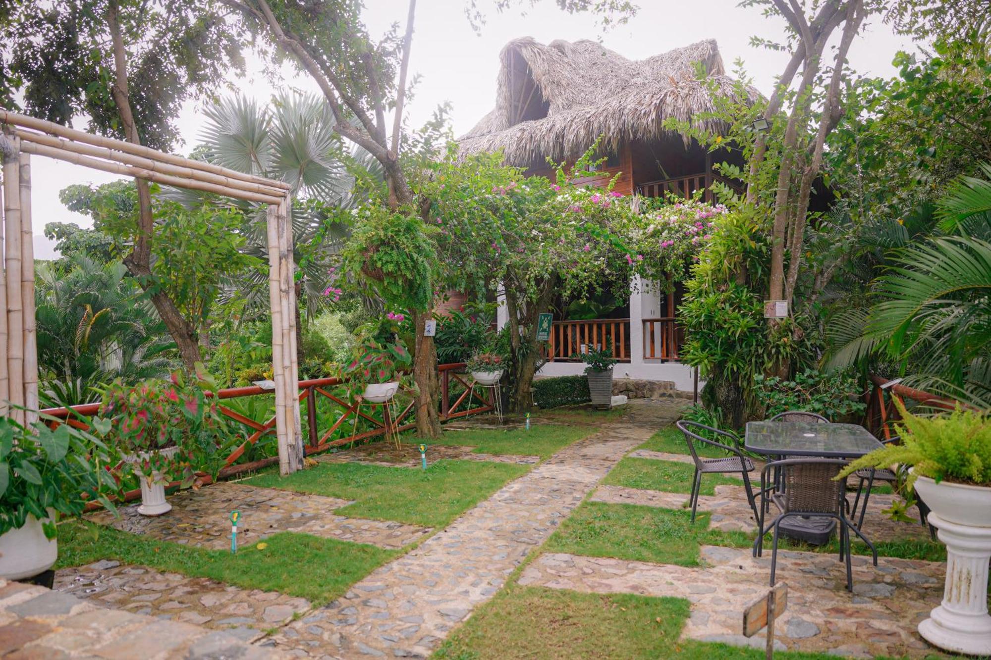 Ecohotel Yachay Tayrona Dentro Del Parque Tayrona El Zaino Exteriör bild