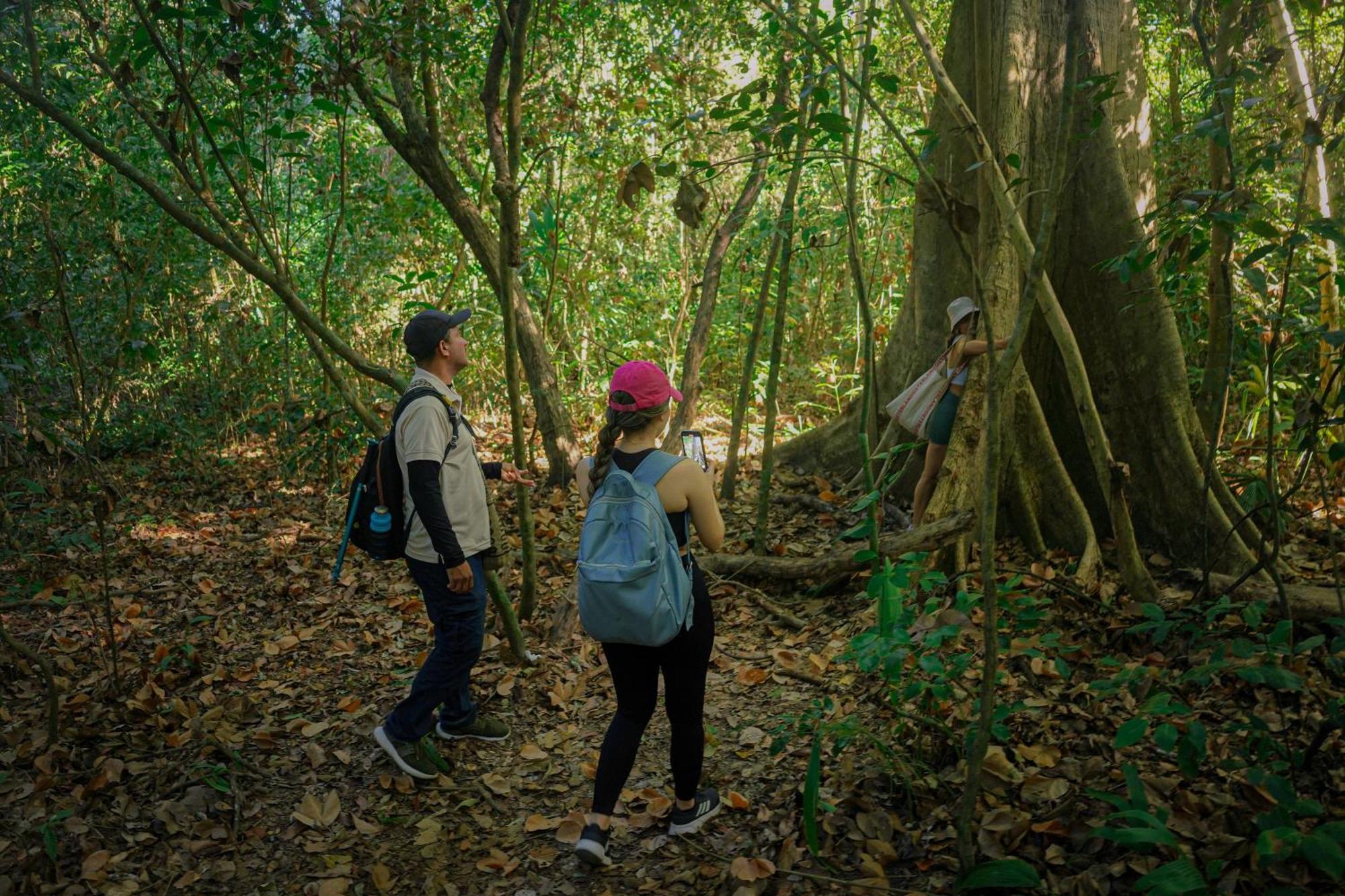 Ecohotel Yachay Tayrona Dentro Del Parque Tayrona El Zaino Exteriör bild