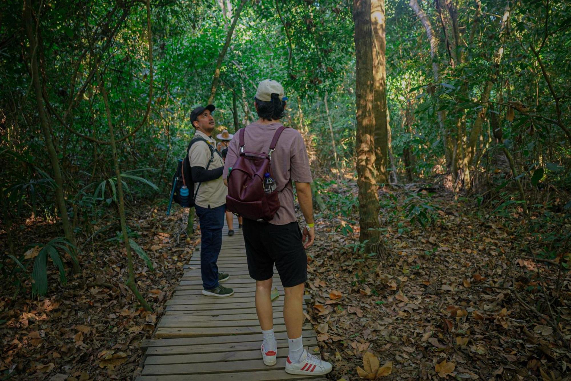 Ecohotel Yachay Tayrona Dentro Del Parque Tayrona El Zaino Exteriör bild