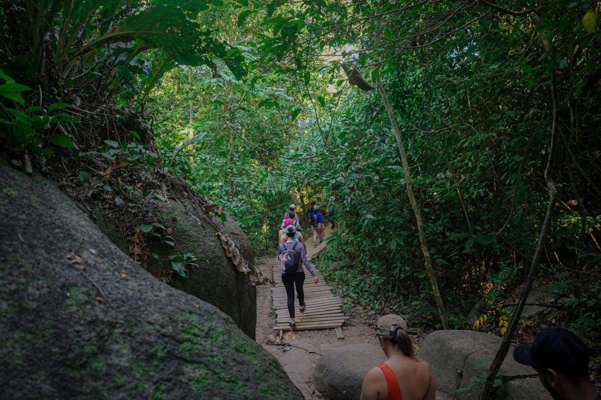 Ecohotel Yachay Tayrona Dentro Del Parque Tayrona El Zaino Exteriör bild