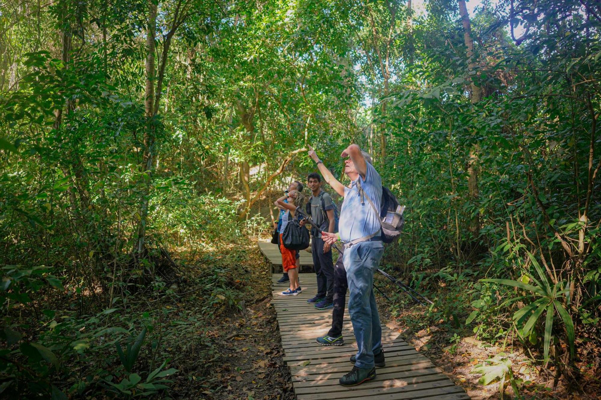 Ecohotel Yachay Tayrona Dentro Del Parque Tayrona El Zaino Exteriör bild