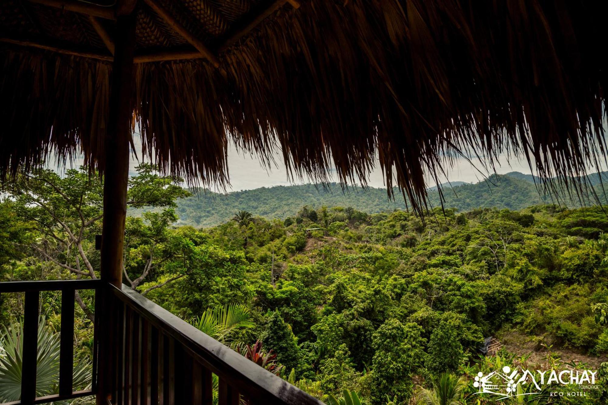 Ecohotel Yachay Tayrona Dentro Del Parque Tayrona El Zaino Exteriör bild
