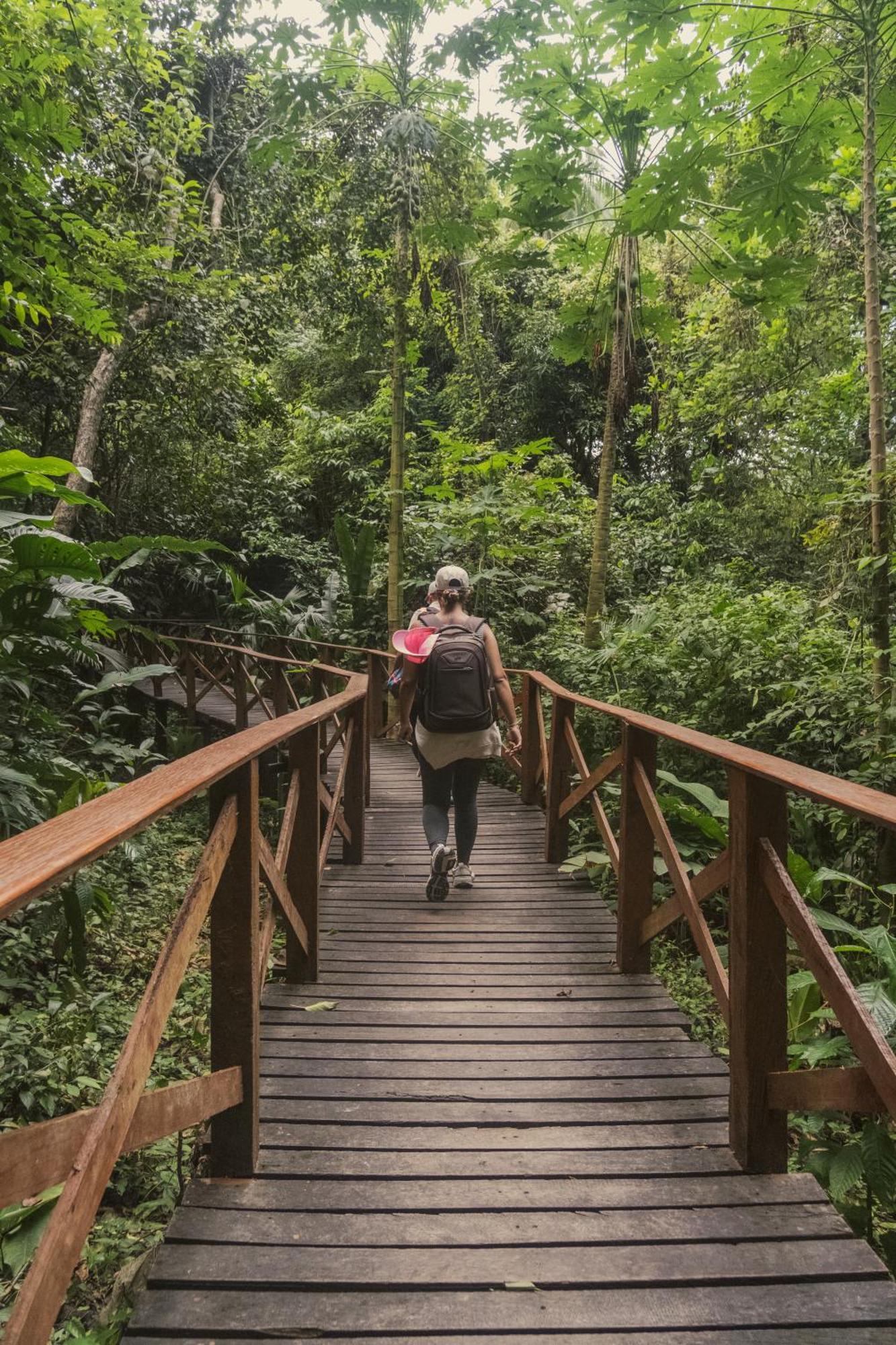 Ecohotel Yachay Tayrona Dentro Del Parque Tayrona El Zaino Exteriör bild