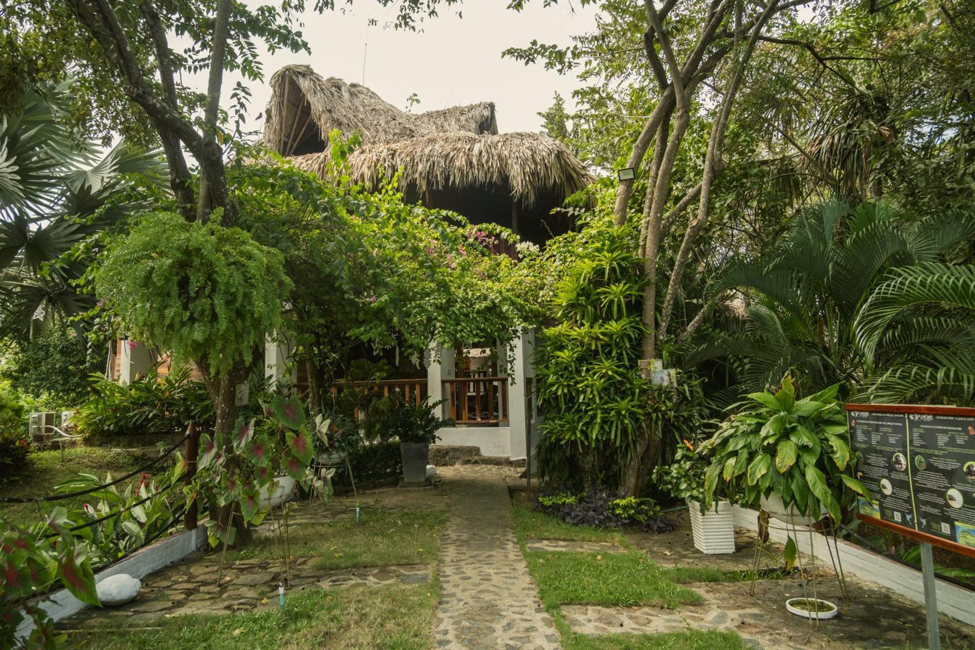 Ecohotel Yachay Tayrona Dentro Del Parque Tayrona El Zaino Exteriör bild